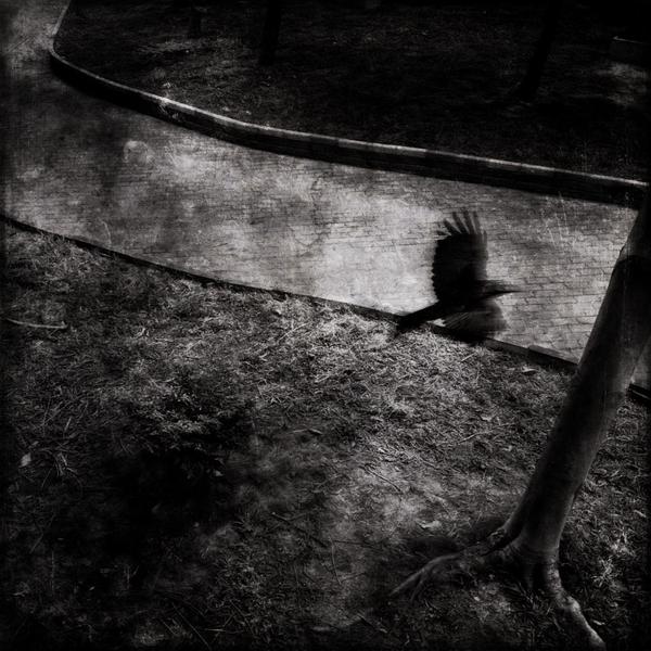 在线轰炸机免费版